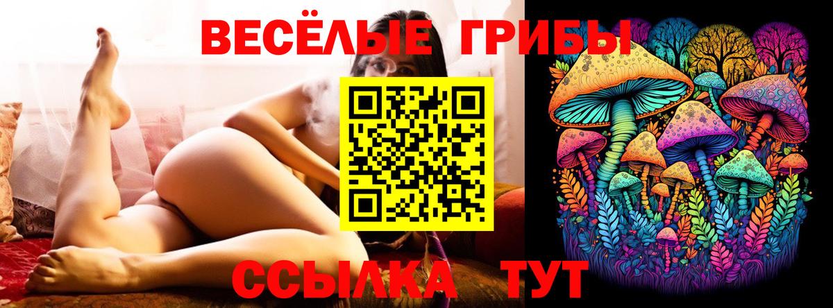 Галлюциногенные грибы MAGIC MUSHROOMS  Вход с VPN  Лосино-Петровский 